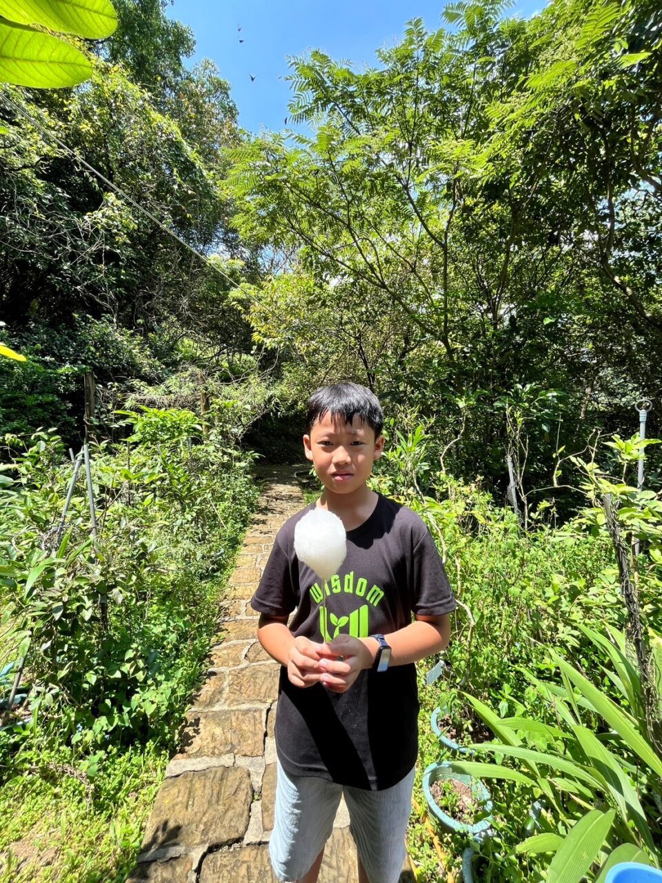 0812千蝶谷