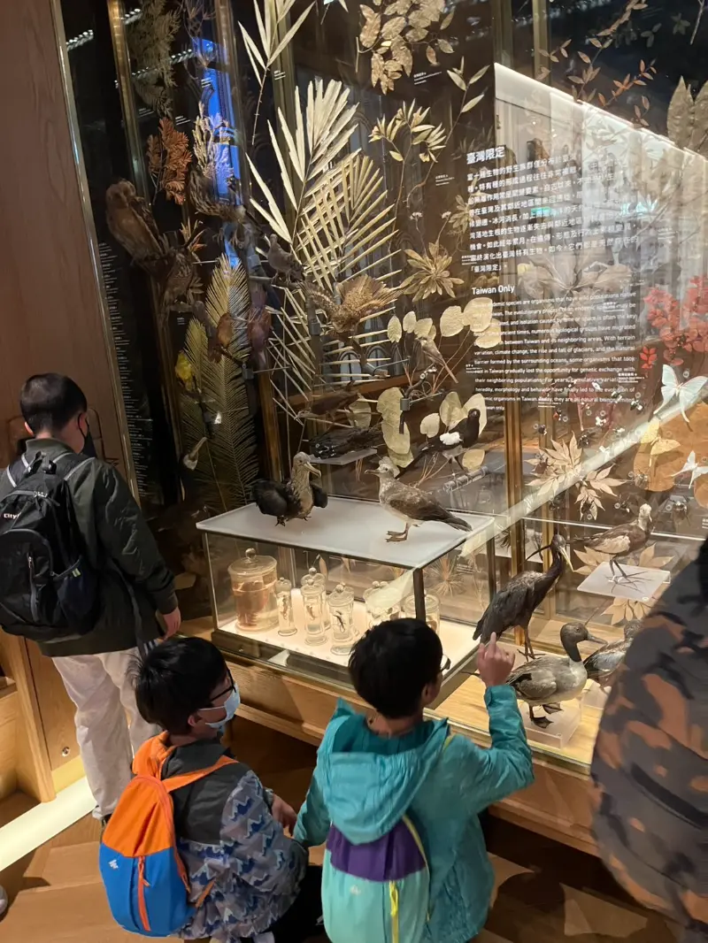 Wisdom 2025 Winter Camp Travel （國立台灣博物館）
