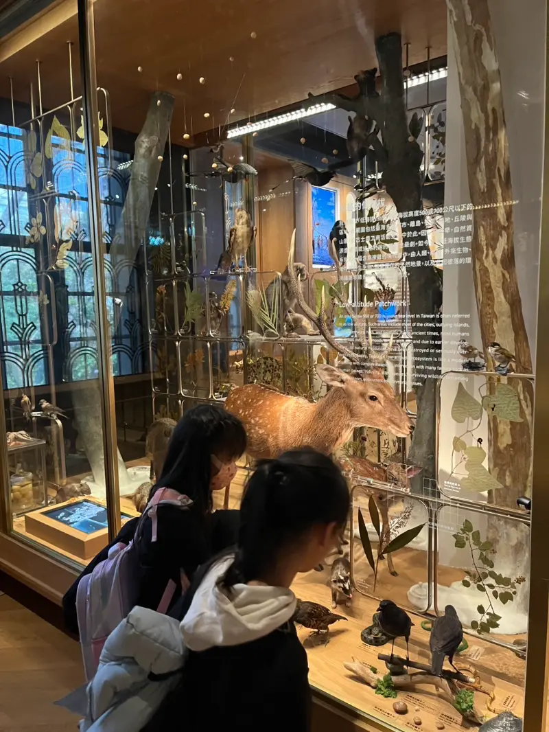 Wisdom 2025 Winter Camp Travel （國立台灣博物館）