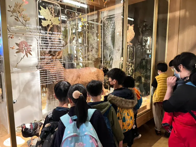 Wisdom 2025 Winter Camp Travel （國立台灣博物館）