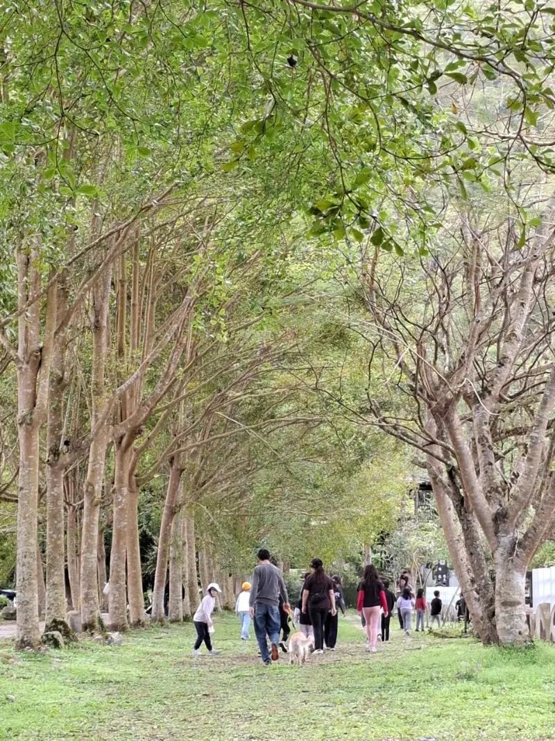 Wisdom 2025 花蓮地質踏查之旅紀錄