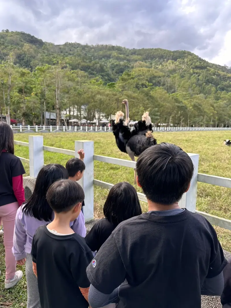 Wisdom 2025 花蓮地質踏查之旅紀錄