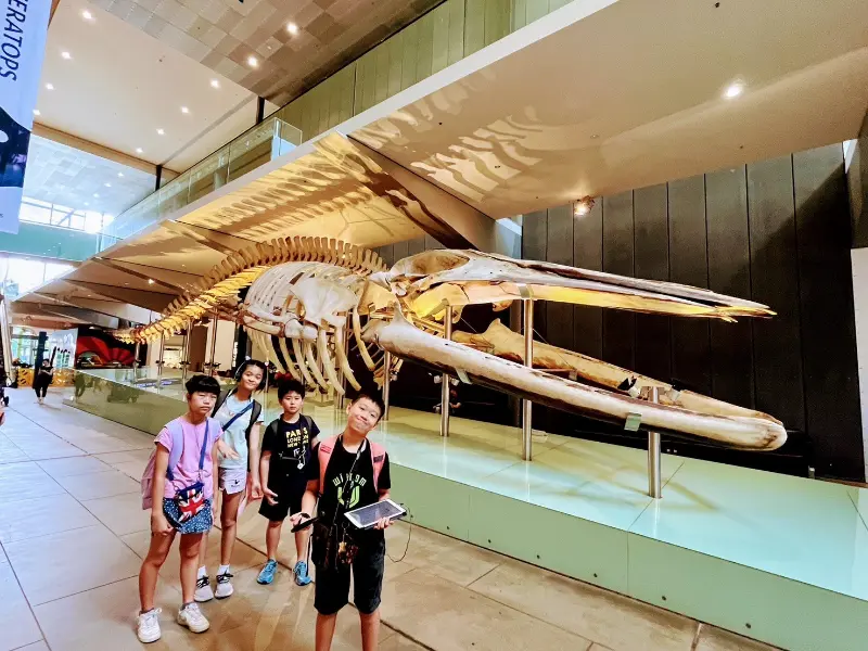 Wisdom 2025 澳洲移地訓練旅行