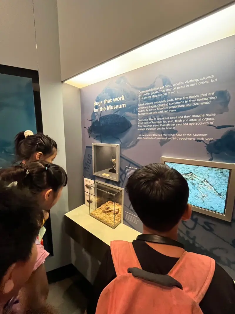 Wisdom 2025 澳洲移地訓練旅行