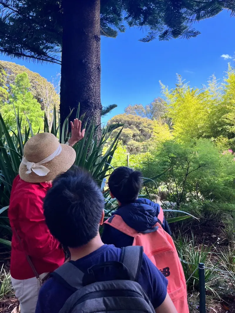 Wisdom 2025 澳洲移地訓練旅行
