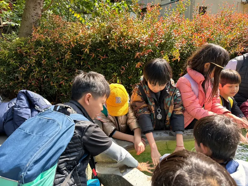 Wisdom 2025 Winter Camp Travel （小小探險家，走進北投溫泉世界）