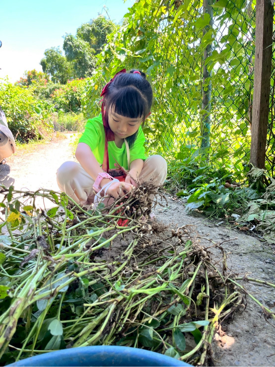 2025 Summer Camp 0715 Oars family sports & recreation center
