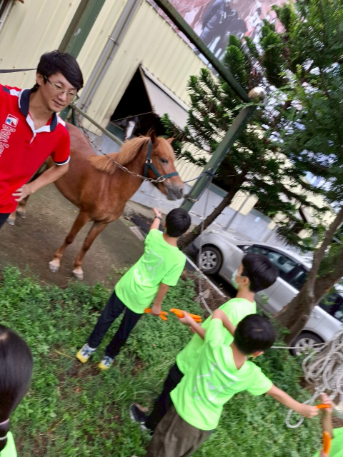 自動草稿