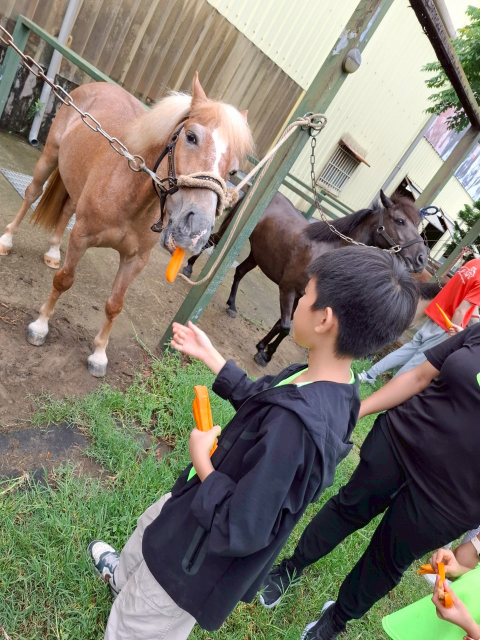 自動草稿