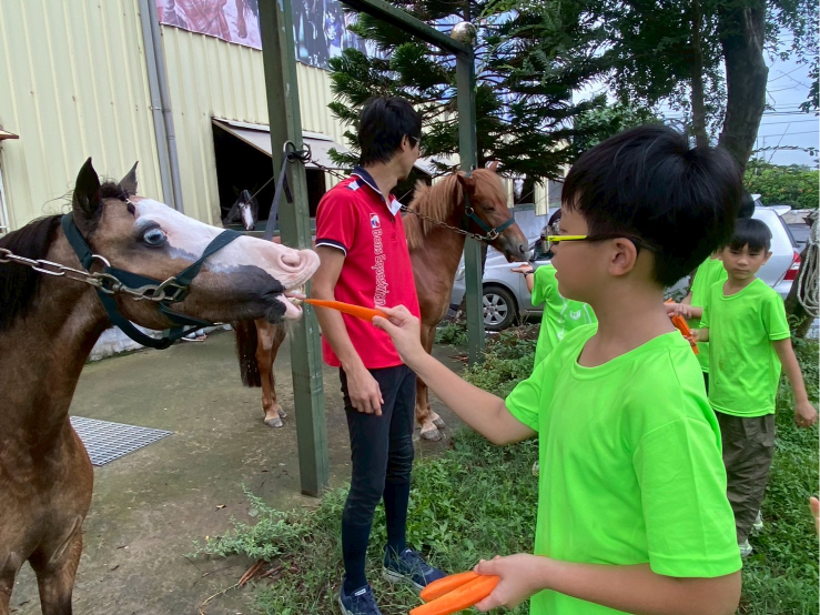 自動草稿