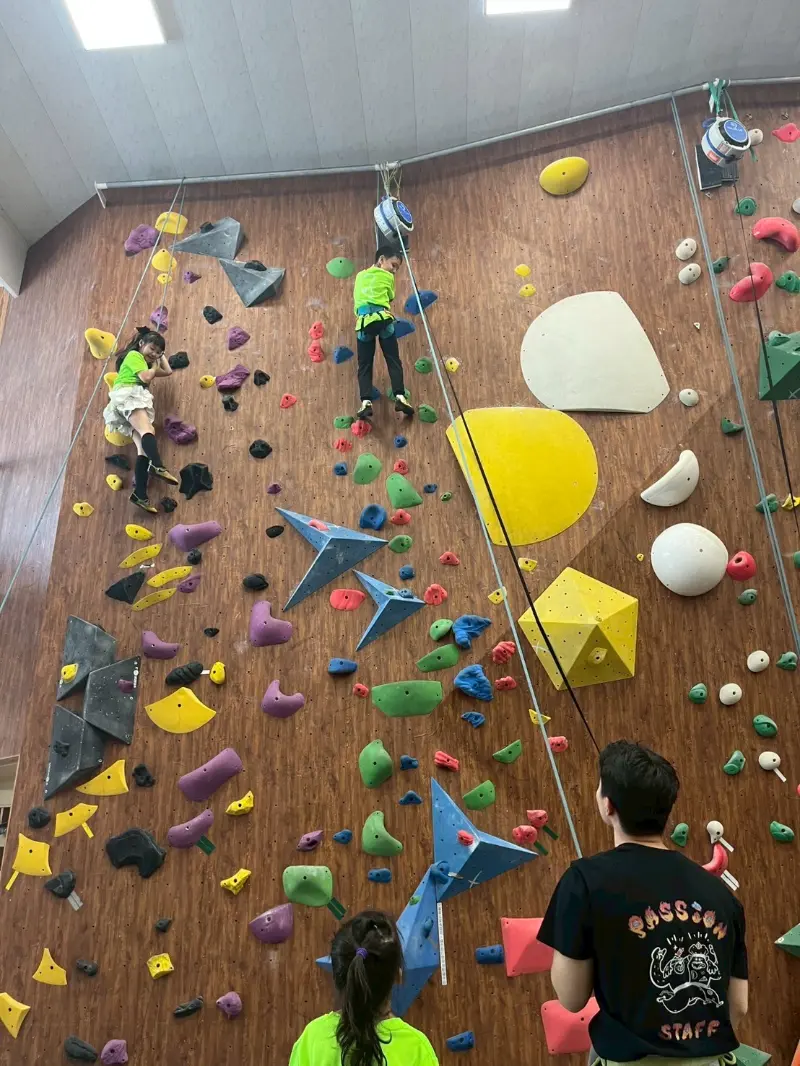2025 Summer Camp 0701 爬森攀岩館+桃園總圖書館