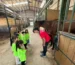 0815 Ben’s Equestrain Club