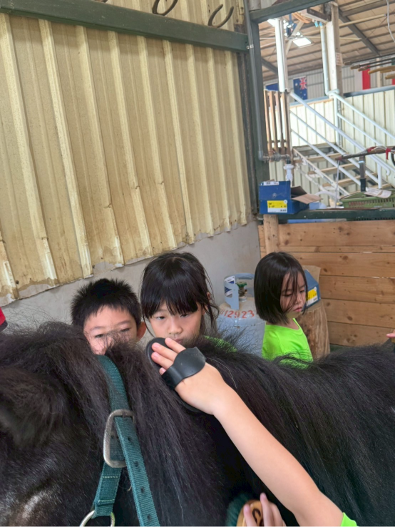 自動草稿