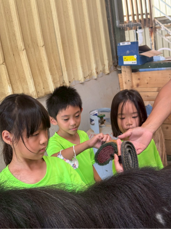 自動草稿