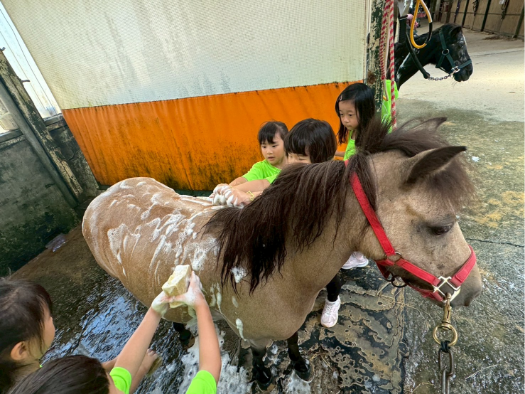 自動草稿