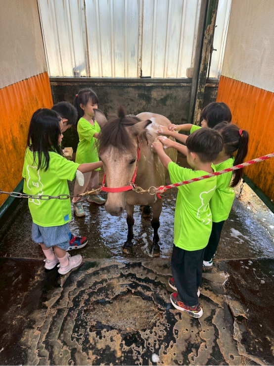 自動草稿
