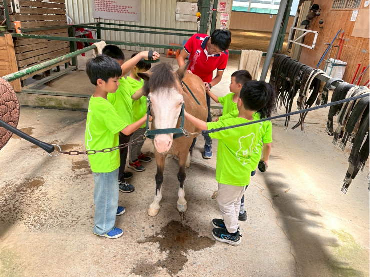 自動草稿