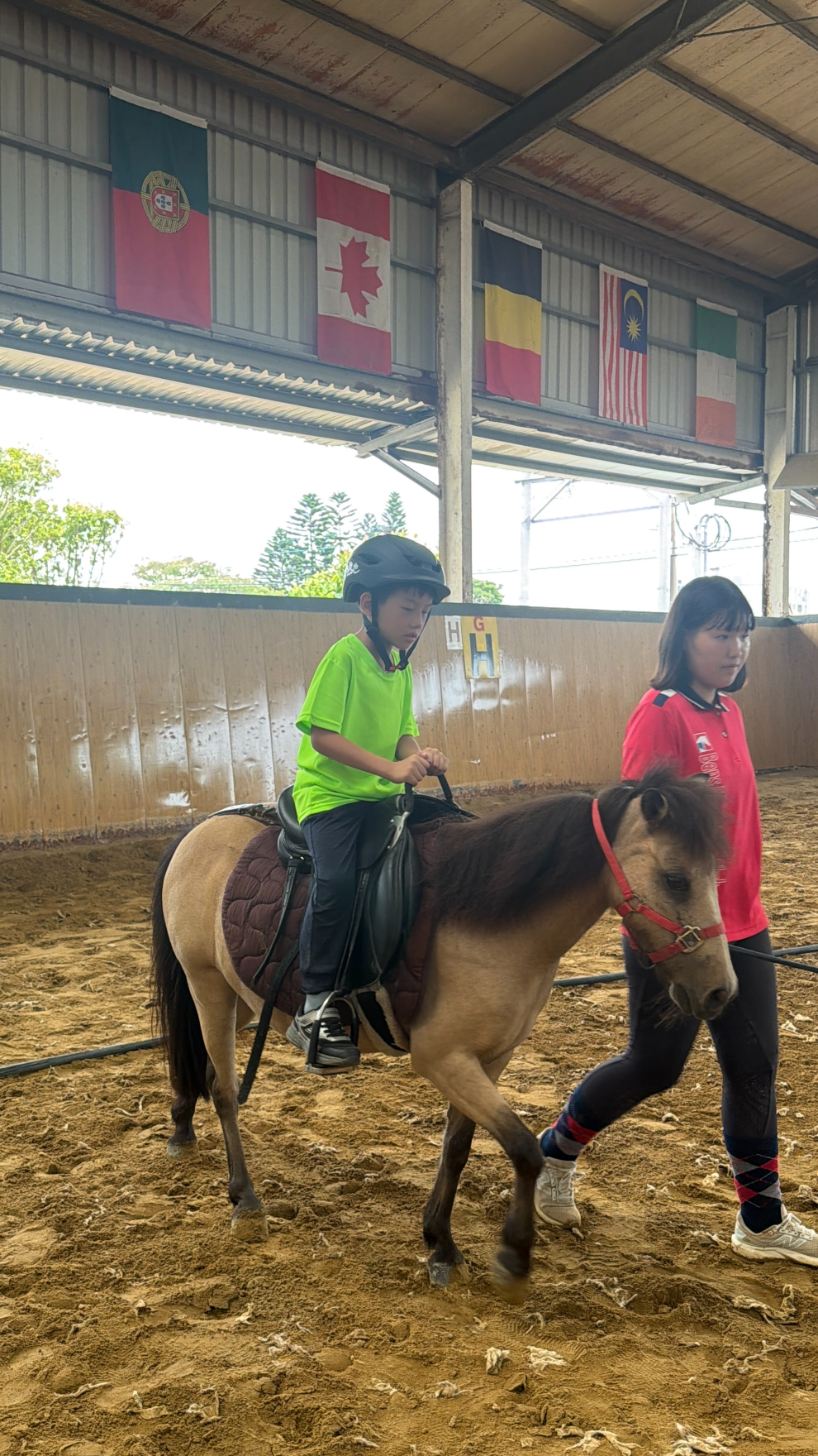 2026 Summer Camp 0806 bens equestrian club