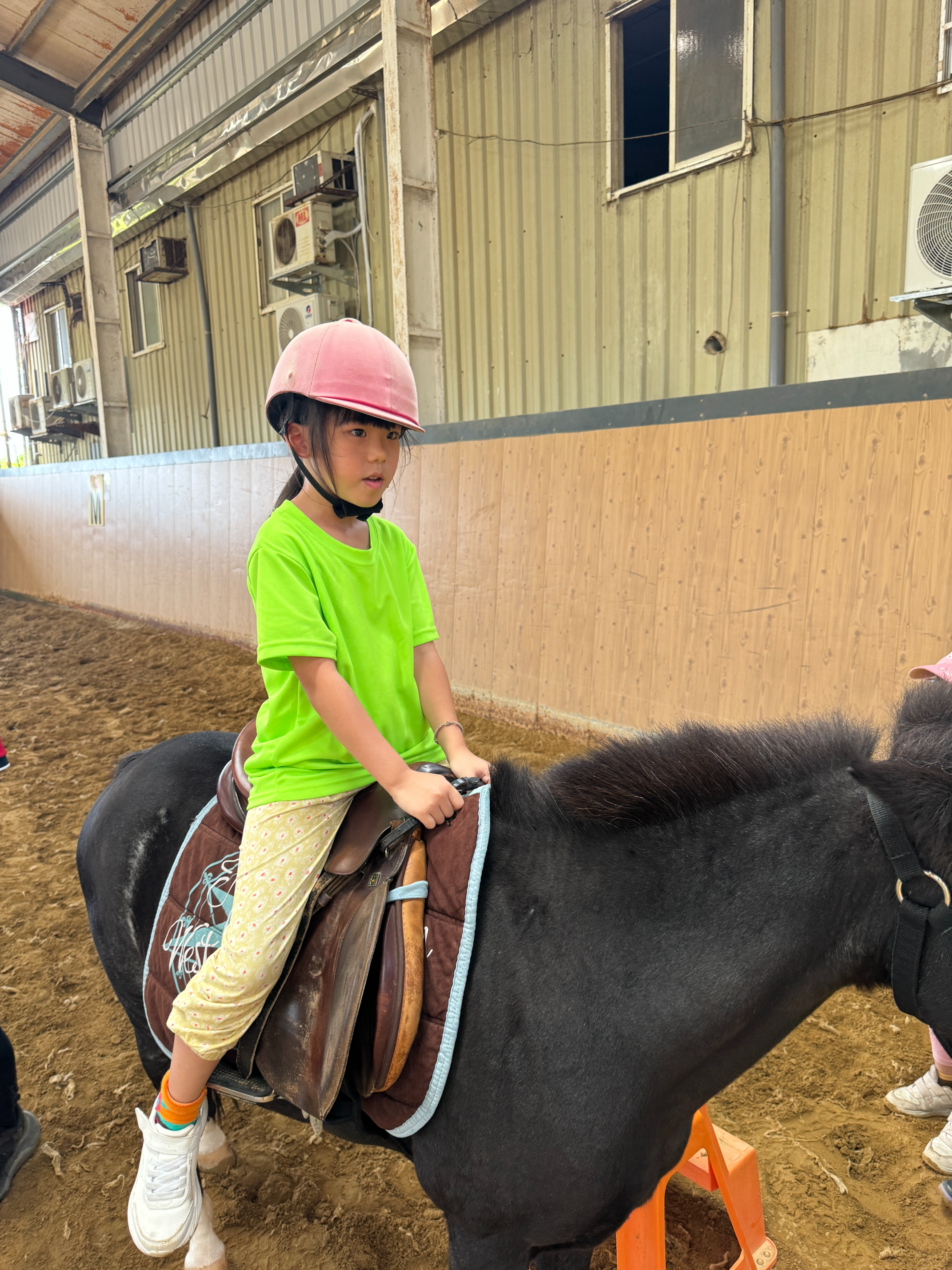 2026 Summer Camp 0806 bens equestrian club