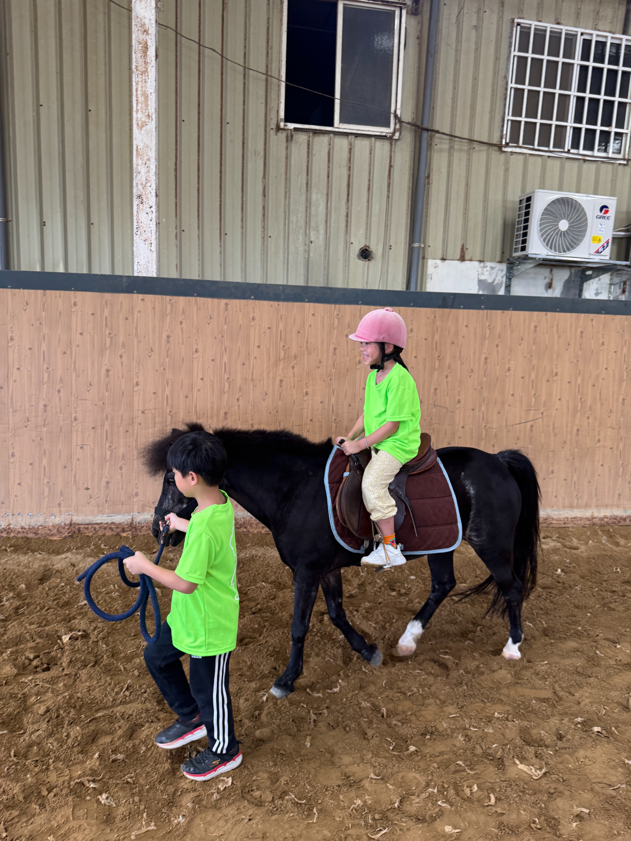2026 Summer Camp 0806 bens equestrian club