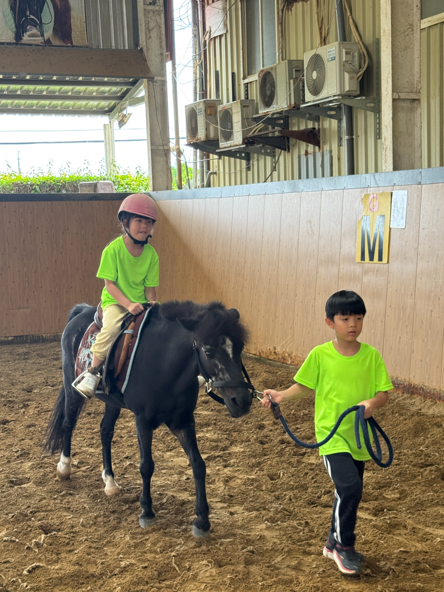 2026 Summer Camp 0806 bens equestrian club