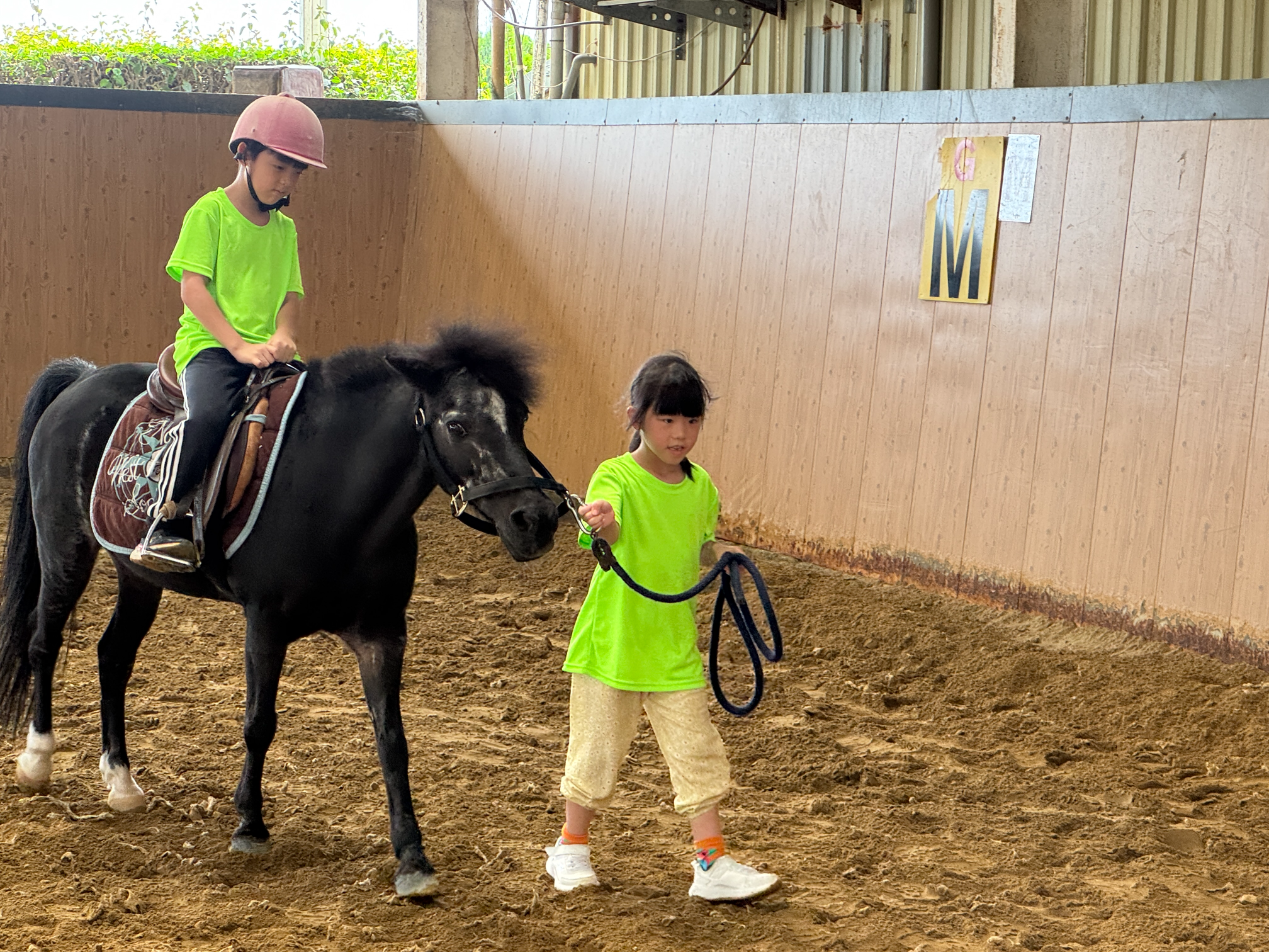 2026 Summer Camp 0806 bens equestrian club