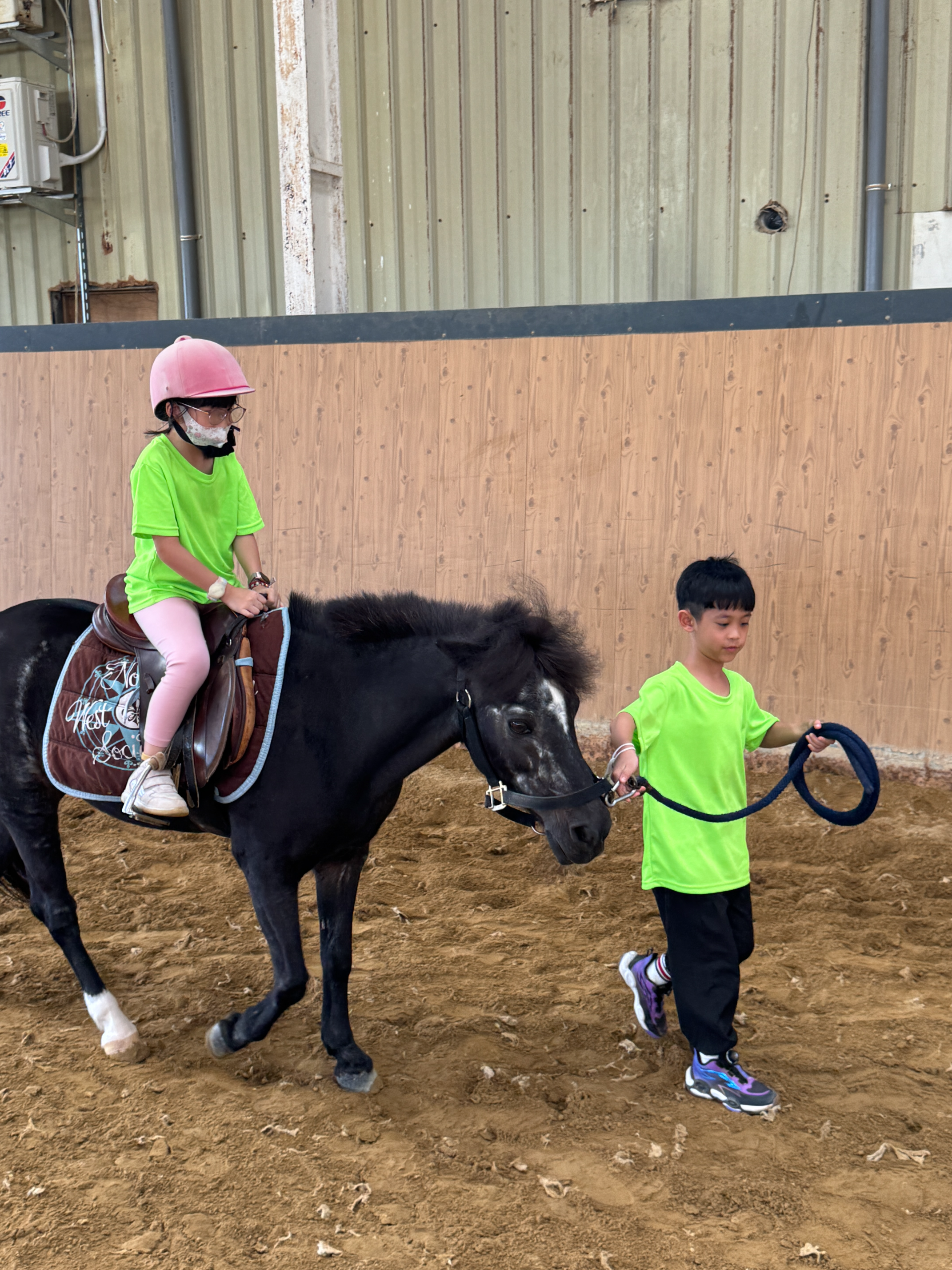 2026 Summer Camp 0806 bens equestrian club