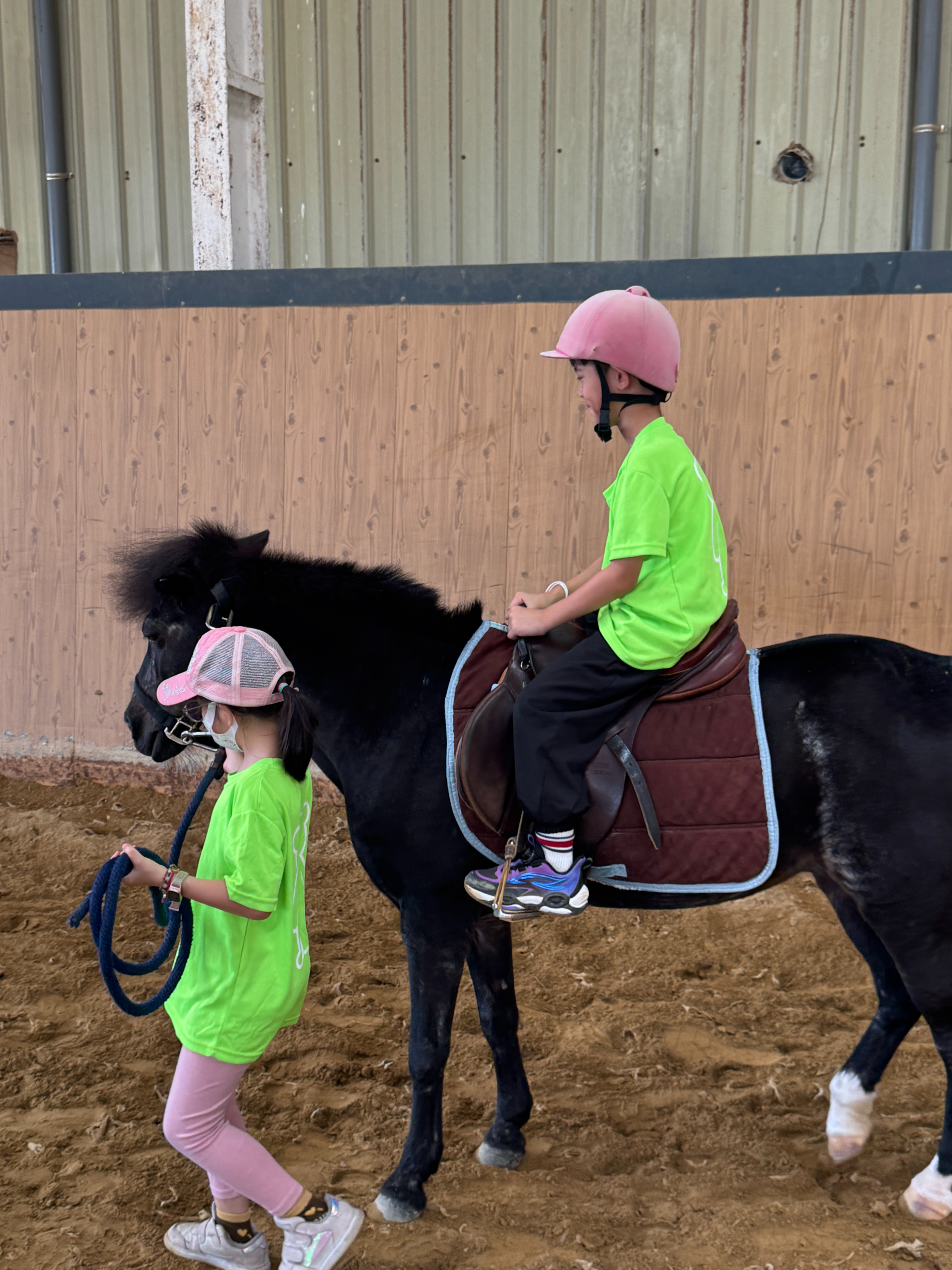 2026 Summer Camp 0806 bens equestrian club