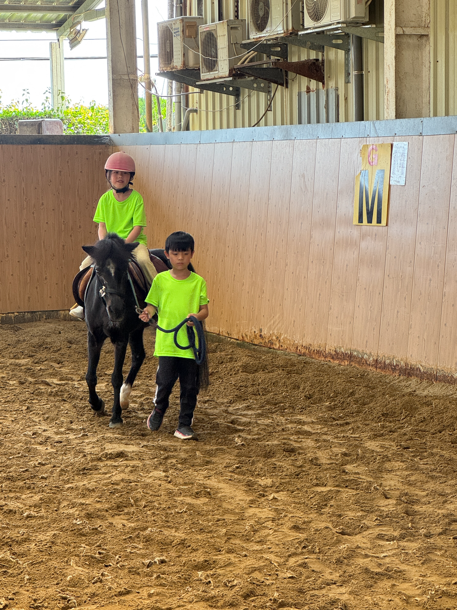 2026 Summer Camp 0806 bens equestrian club