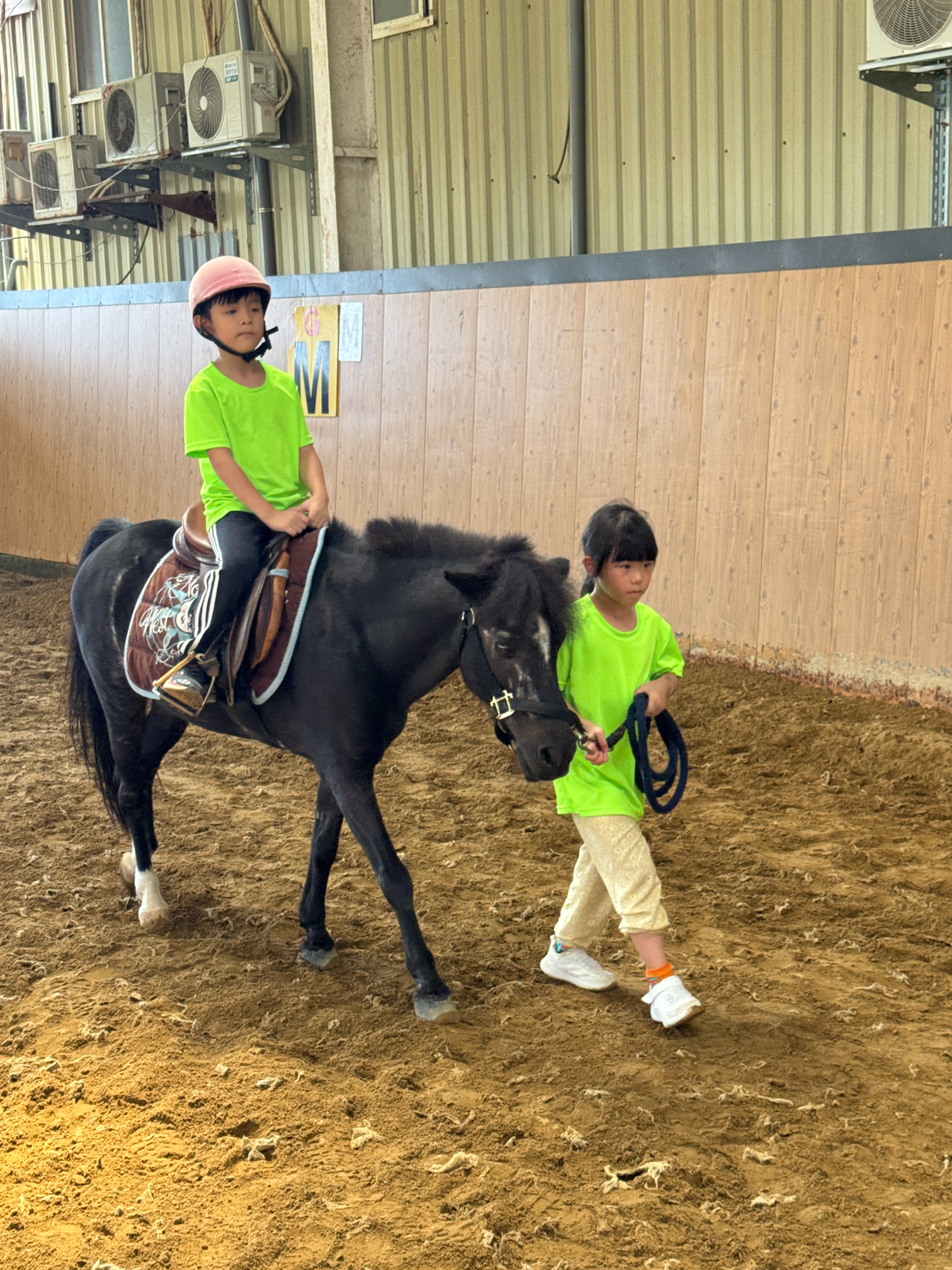 2026 Summer Camp 0806 bens equestrian club
