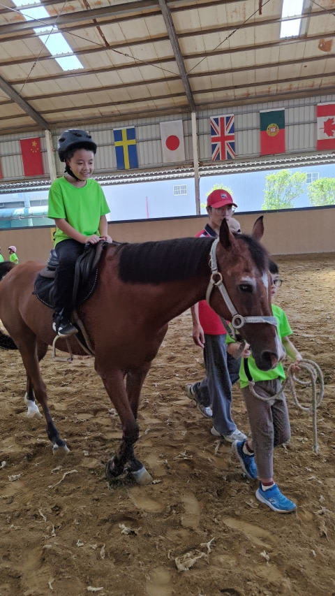 2026 Summer Camp 0806 bens equestrian club