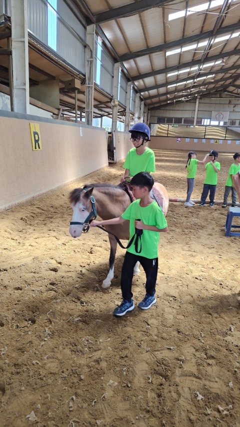 2026 Summer Camp 0806 bens equestrian club