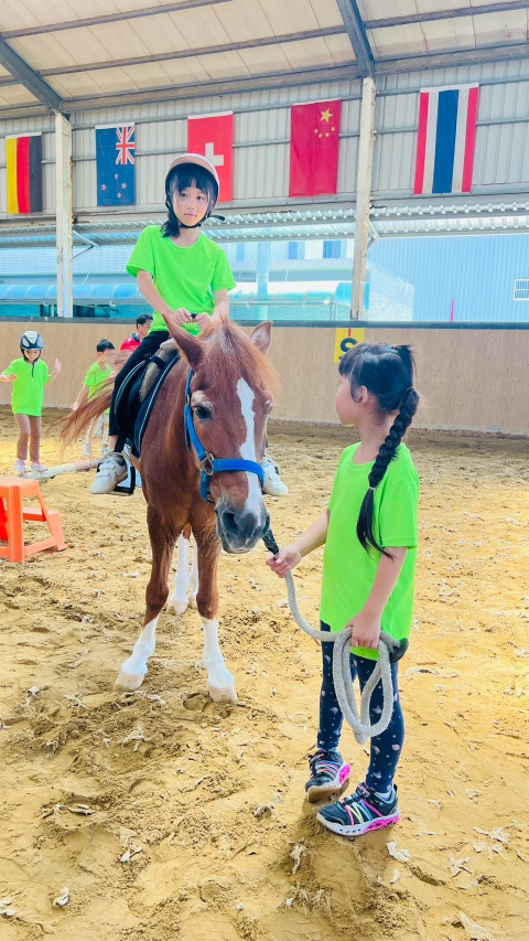 2026 Summer Camp 0806 bens equestrian club