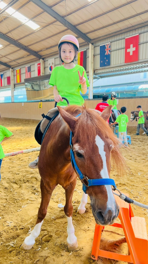 2026 Summer Camp 0806 bens equestrian club