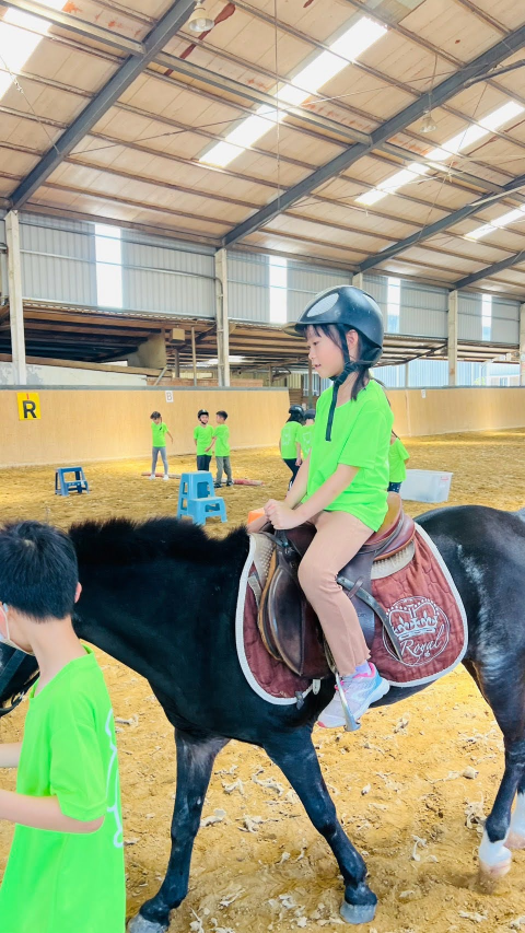 2026 Summer Camp 0806 bens equestrian club