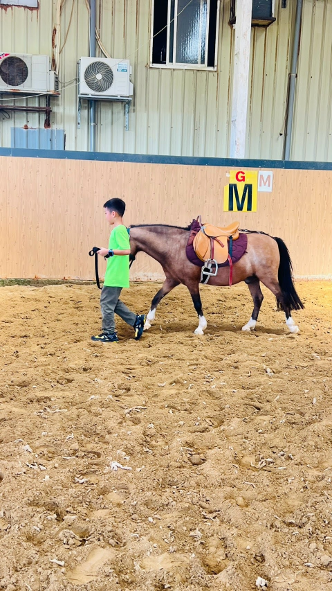 2026 Summer Camp 0806 bens equestrian club