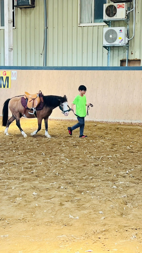 2026 Summer Camp 0806 bens equestrian club